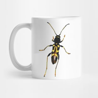 Round-necked Longhorn Beetle Mug